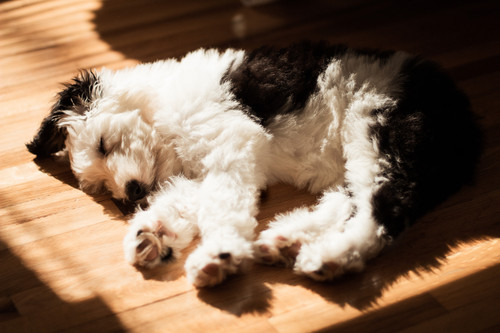 MG 1530.jpg