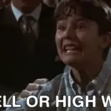 overthetopgohellhighwater.webp