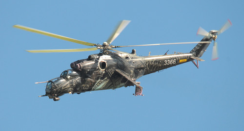 DSC 4745 kop.jpg