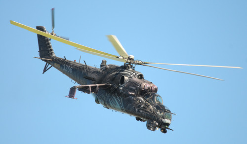 DSC 4570 kop.jpg