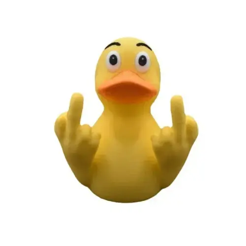 d4a01b5f4862.webp