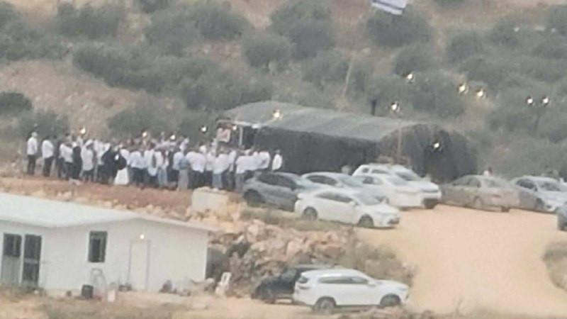 صورة الخبر