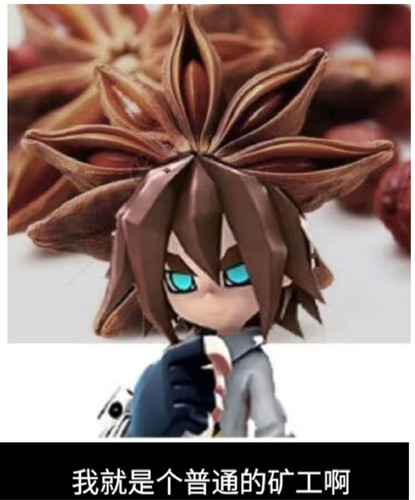 Collage 20260515 164155.jpg