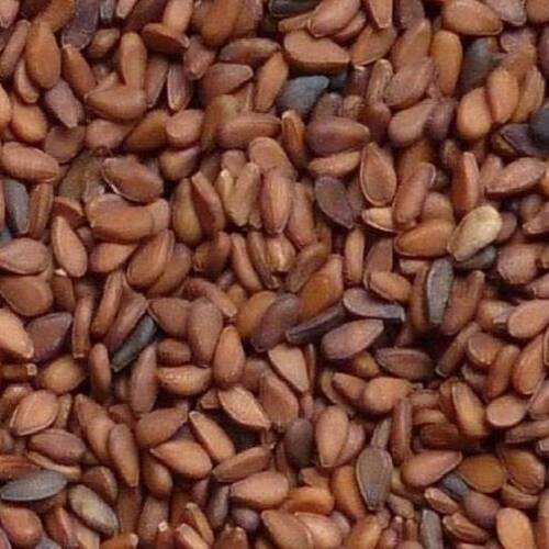 natural rich taste purity 100 healthy organic brown sesame seeds 851.jpg