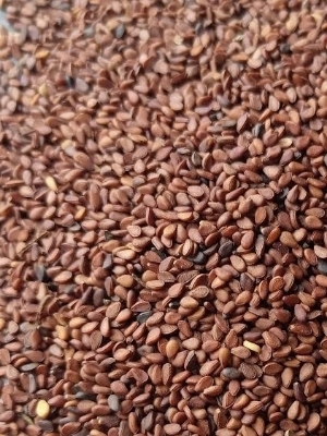 brown sesame seeds 172.jpg
