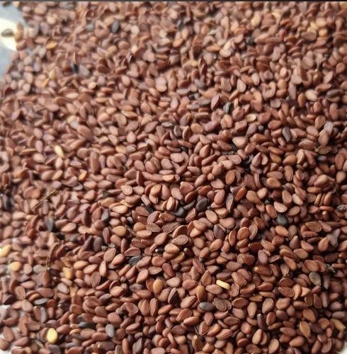 product jpeg 500x500.jpg