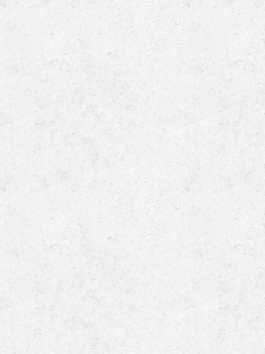 1000004742.png