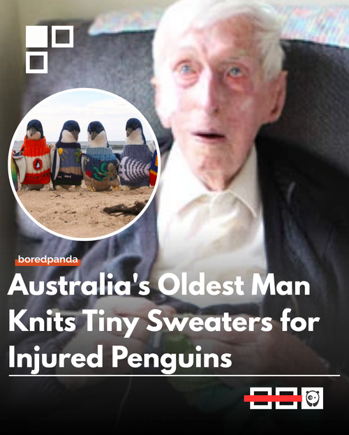 aus.png