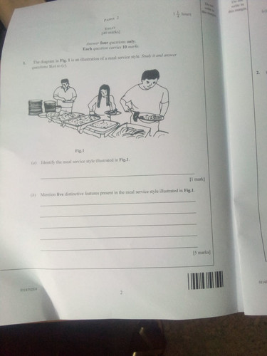 893078.jpg