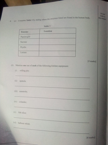 893080.jpg