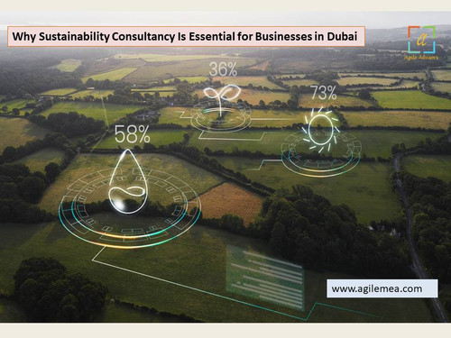 Why Sustainability Consultancy Is Essential for Businesses in Dubai.jpg