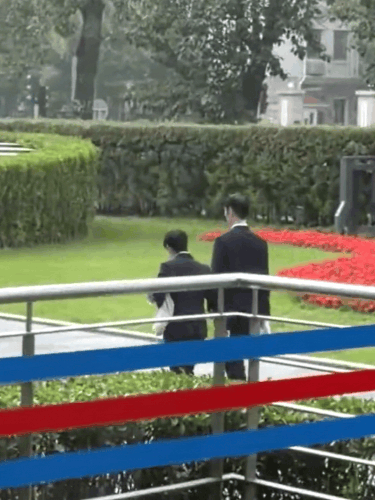 25841.gif