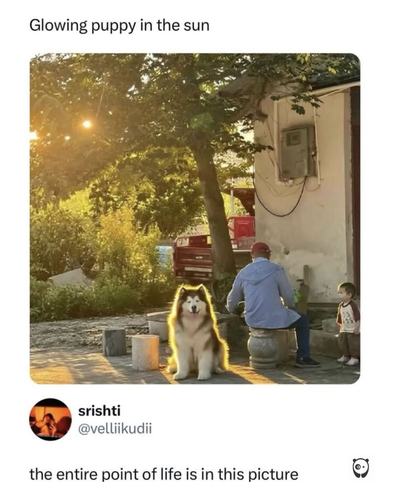Meme 2.png