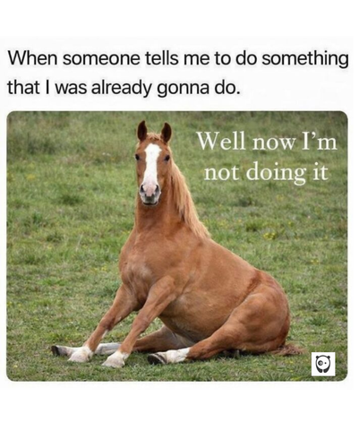 meme 3.png