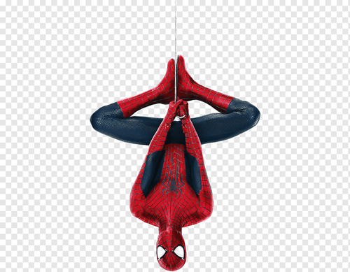 IMG 3689.png