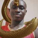 temp.png