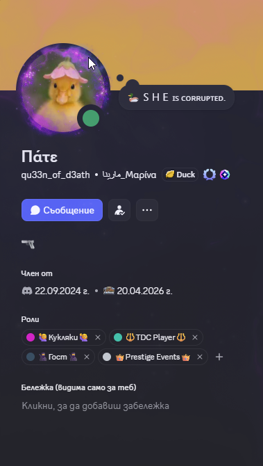 Discord qYlP3L0Jiw.png