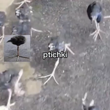 Screenshot 1.png
