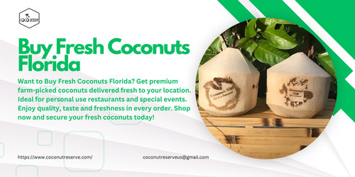 Want to Buy Fresh Coconuts Florida? Get premium farm-picked coconuts delivered fresh to your location. Ideal for personal use restaurants and special events. Enjoy quality, taste and freshness in every order. Shop now and secure your fresh coconuts today! Visit at: https://www.coconutreserve.com/