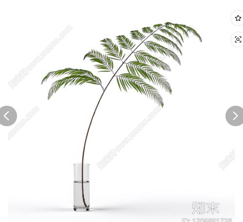 image.jpg