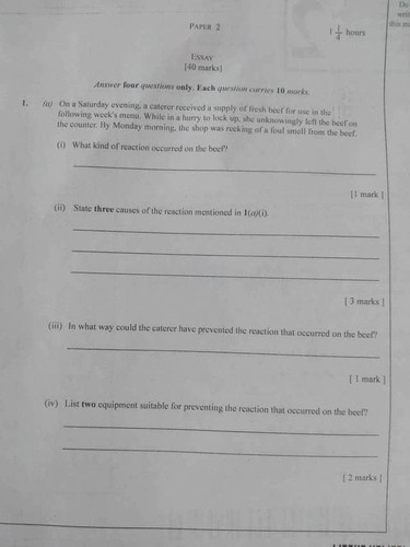 892710.jpg