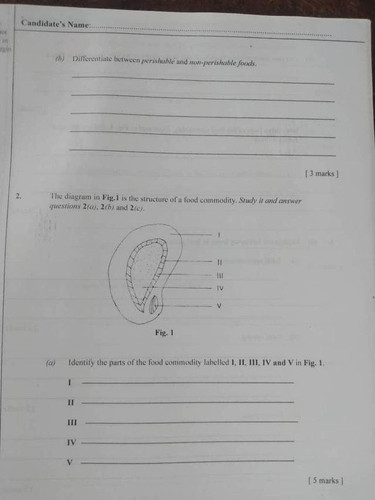 892711.jpg