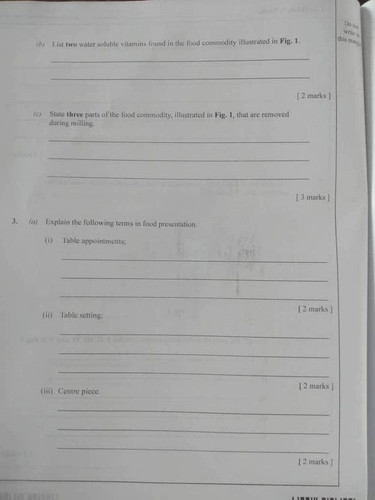 892712.jpg
