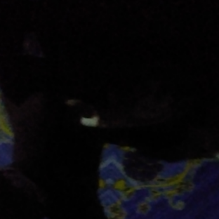 temp.png