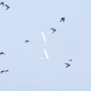 8d77fdc513d3.png