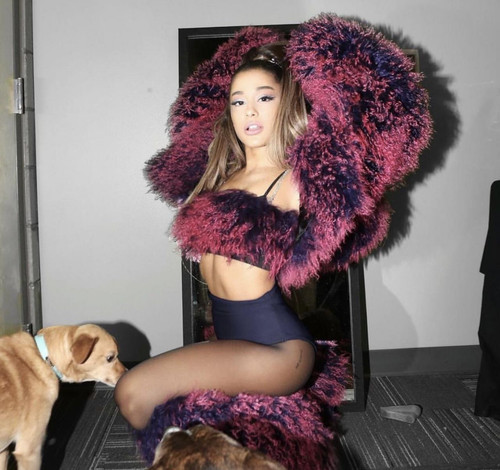 ariana grande personal pics 03 17 2019 5.jpg
