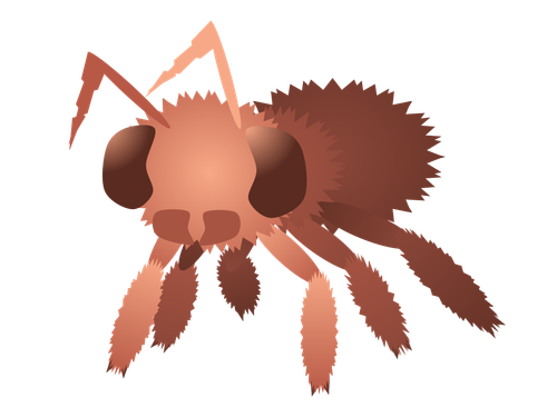 Boyo2.png