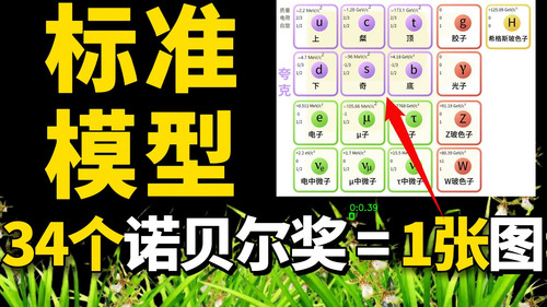 c5 standard annotated.jpg