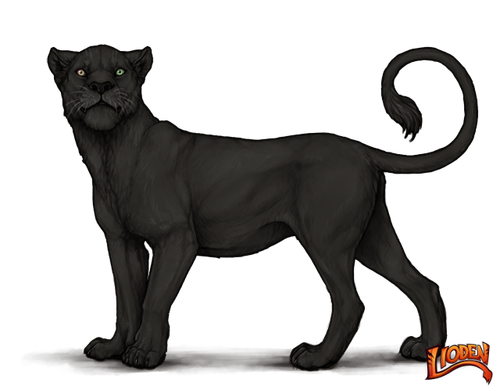 lioden wardrobe (1).png