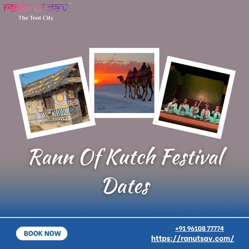 Rann Of Kutch Festival Dates.png