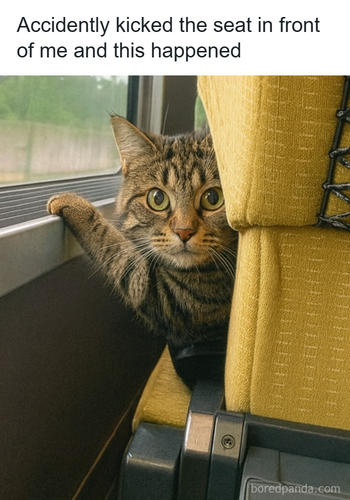 image 2026 05 15T151424.707.png