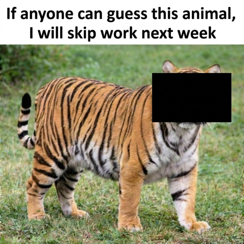 image 2026 05 15T151435.502.png