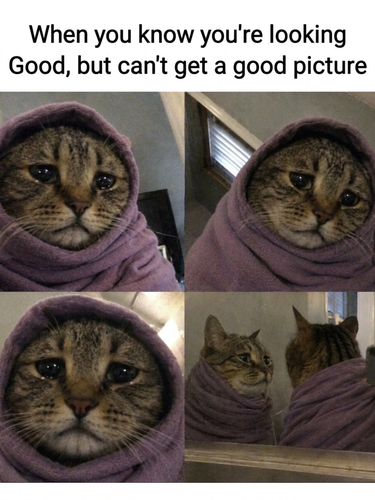 image 2026 05 15T151441.792.png