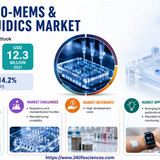 httpswww.24lifesciences.com 2026 05 15T012004.072
