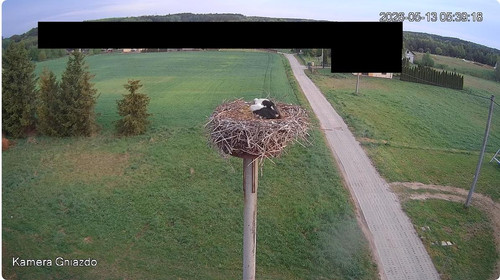 MWSnap112.jpg