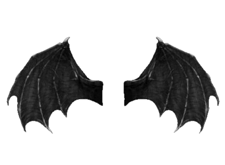 1000111524.png