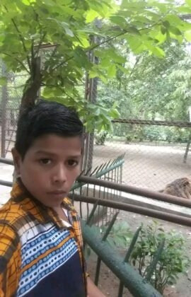 file 12883.jpg