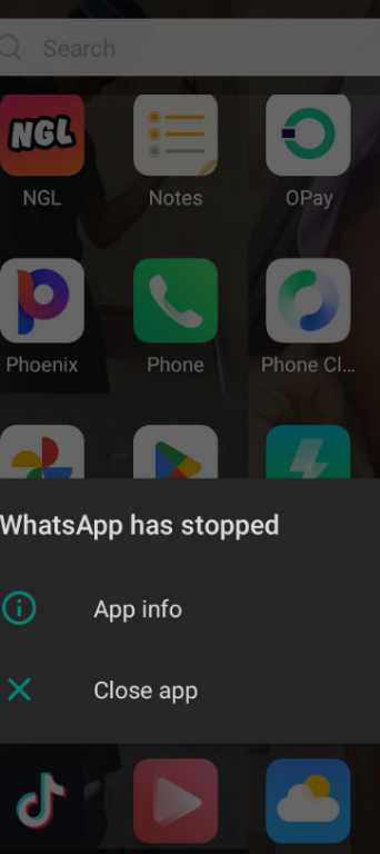 temp.png