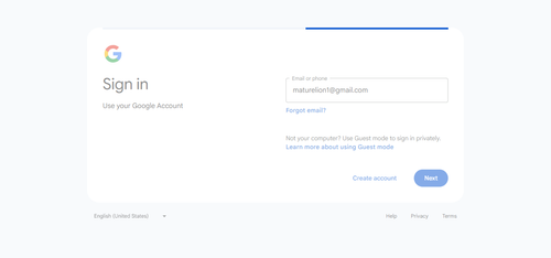 2026 04 03T00 13 36 347Z GOOGLE email entered unknown.png
