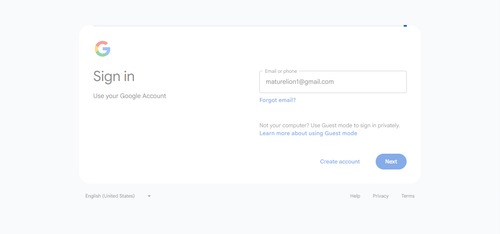 2026 04 03T00 09 48 266Z GOOGLE email entered unknown.png