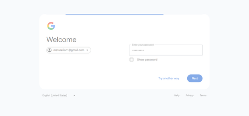 2026 04 03T00 10 05 219Z GOOGLE password entered.png