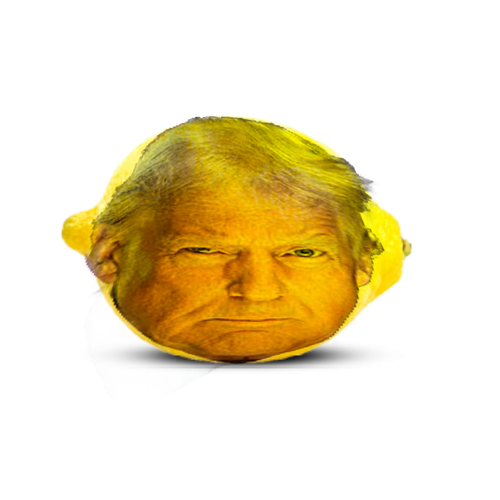 editing donald trump onto a lemon for academic reasons.png