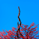 e63f5c056254.png