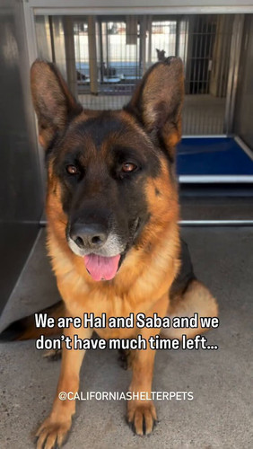 kOoQnEJkQ lCSDsA.jpg