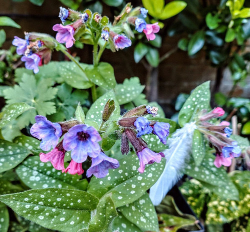 HE5 4f1akAAzNag?format=jpg.jpg