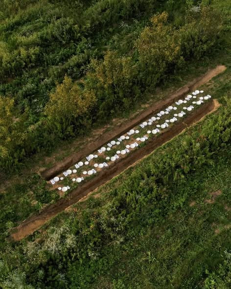 661668694 1550360133763490 8479569712169111145 n.jpg?stp=dst jpg s590x590 tt6& nc cat=100&ccb=1 7& n.jpg